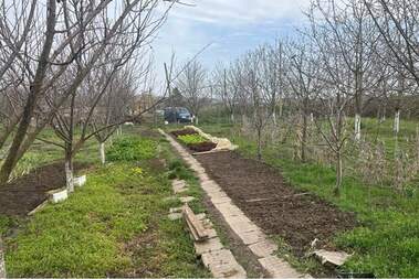 For sale - House in Ilia Blaskovo,  Shumen