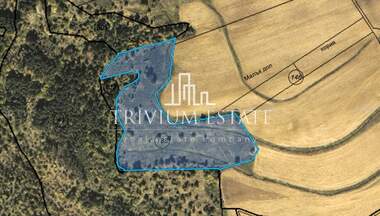 For sale - Agricultural land in Balabanchevo,  Burgas