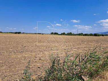 For sale - Agricultural land in Zlatitrap,  Plovdiv
