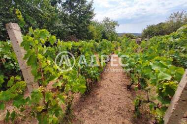 For sale - House in Osenovo,  Varna