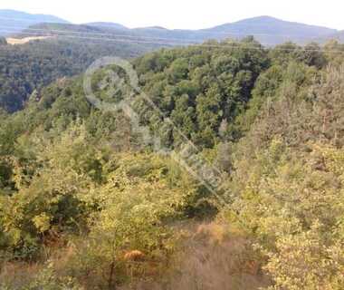 Satış - İnşaat arsası olarak Triavna,  Gabrovo