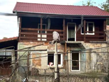 Продажба - Къща в Червен,  Русе