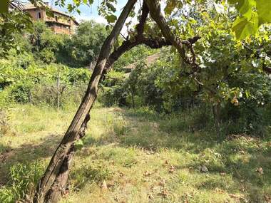 For sale - House in Brejani,  Blagoevgrad