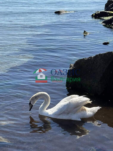 For sale - Apartment in Pomorie,  Burgas