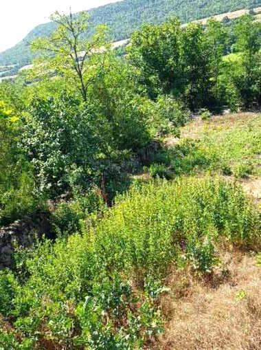 Πώληση - Οικόπεδο για κατασκευή σε Саласука,  Габрово