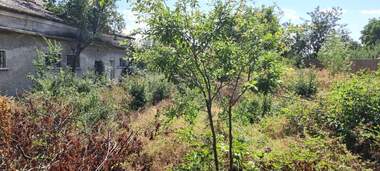 Verkauf - Haus in Ostrowtsche,  Razgrad