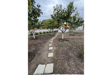 For sale - House in Dralfa,  Targovishte