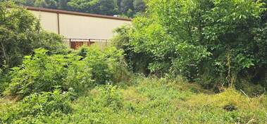 For sale - House in Tran,  Pernik