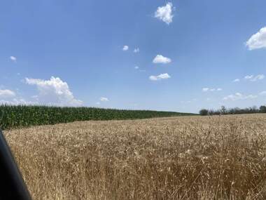 Vânzare - Teren agricol în Krumovo,  Plovdiv