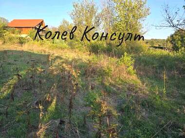 Продажба - Къща в Райново,  Хасково