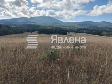 For sale - Agricultural land in Izgrev,  Burgas