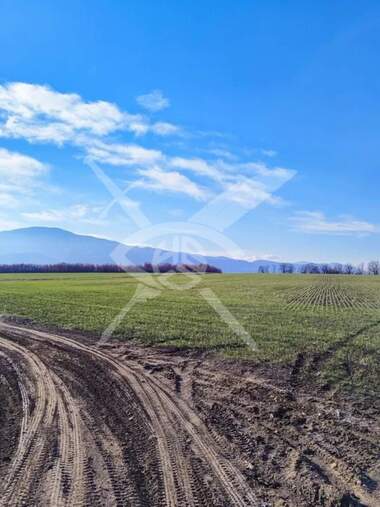 Πώληση - Οικόπεδο για κατασκευή σε Цигов чарк,  Пазарджик