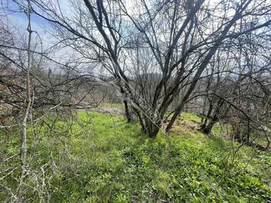 Продажба - Къща в Килифарево,  Велико Търново