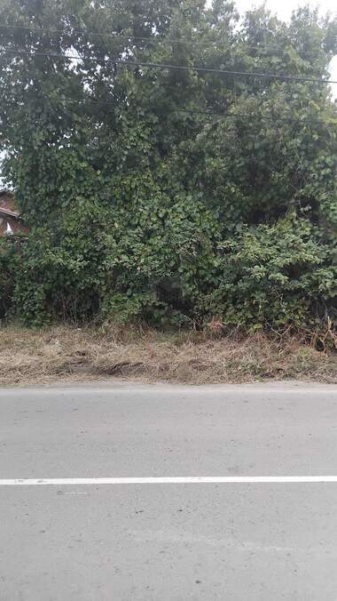 For sale - For Construction in Golemo Selo,  Kiustendil