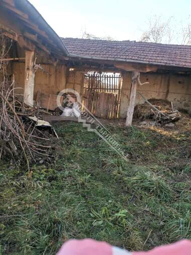 Продажба - Къща в Благоево,  Велико Търново