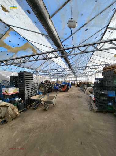 For sale - Agricultural land in Govedare,  Pazardjik