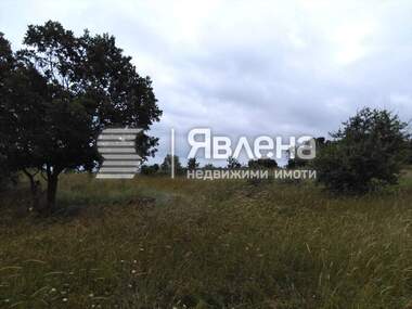 Verkauf - Landwirtschaftlich Grundstück in Warwara,  Burgas