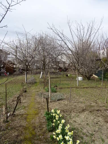 For sale - House in Izgrev,  Varna