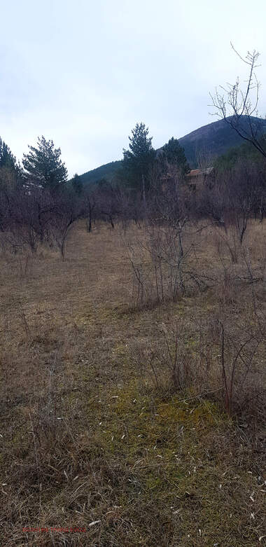 Verkauf - Baugrundstück in Saparewa Bania,  Küstendil