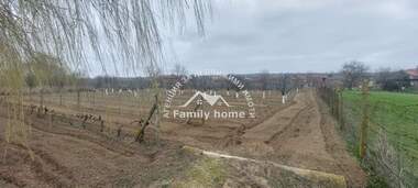 Продажба - Овощна градина в Старо Оряхово,  Варна