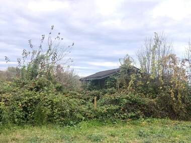 For sale - For Construction in Priseltsi,  Burgas
