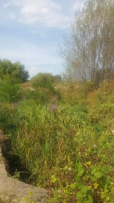 For sale - For Construction in Kocherinovo,  Kiustendil