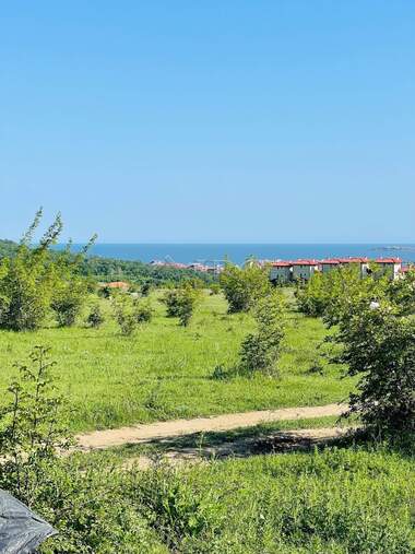 Satış - Tarım arsası olarak Koşarica,  Burgas