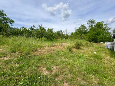 For sale - Orchard in Rusofili,  Ruse