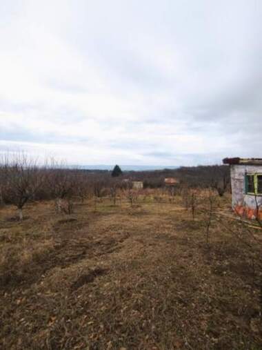 Vânzare - Livadă în Zvezdița,  Varna