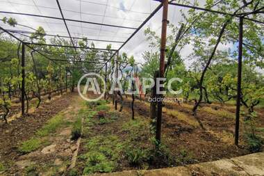 For sale - For Construction in Planova,  Varna