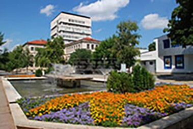 Kiralama Centar