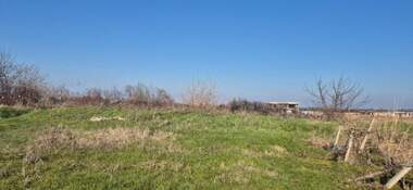 For sale - Agricultural land in Markovo,  Plovdiv
