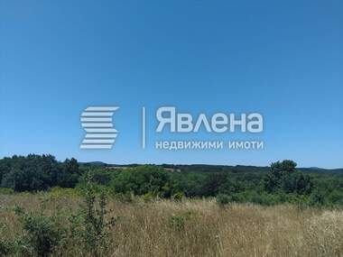 Verkauf - Landwirtschaftlich Grundstück in Rezowo,  Burgas
