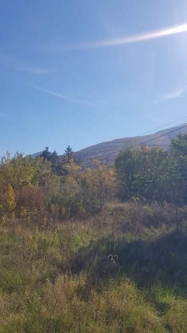 For sale - For Construction in Sapareva Bania,  Kiustendil