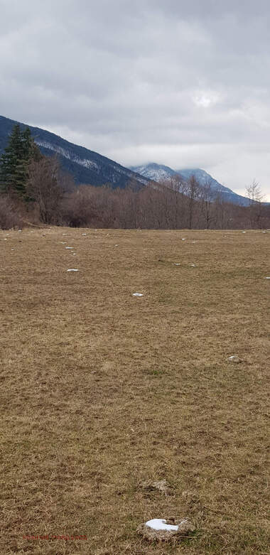 Verkauf - Baugrundstück in Saparewa Bania,  Küstendil
