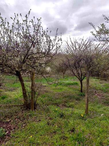 Satış - Ev olarak Gorica,  Targovishte