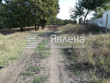 Satış - İnşaat arsası olarak Stara Reka,  Iambol