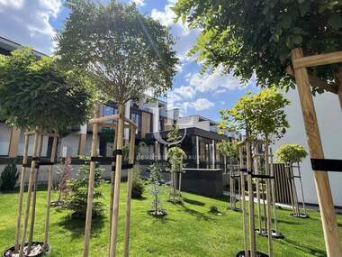 Vânzare - Casă în Boiana,  Sofia