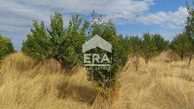 Vânzare - Teren agricol în Kovace,  Stara Zagora
