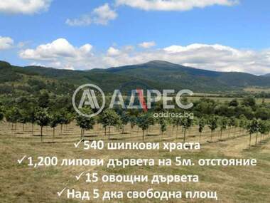 For sale - Agricultural land in Gorno Kamarci,  Sofia Oblast