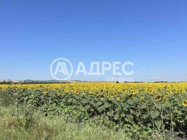 For sale - For Construction in Prolesha,  Sofia Oblast