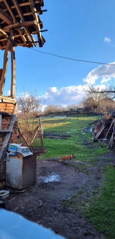 Verkauf - Baugrundstück in Toptschii,  Razgrad