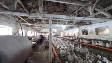 Продажба - Промишлено помещение в Отец Кирилово,  Пловдив