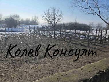 Продажба - Къща в Димитровград,  Хасково