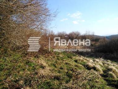 Verkauf - Landwirtschaftlich Grundstück in Balgari,  Burgas