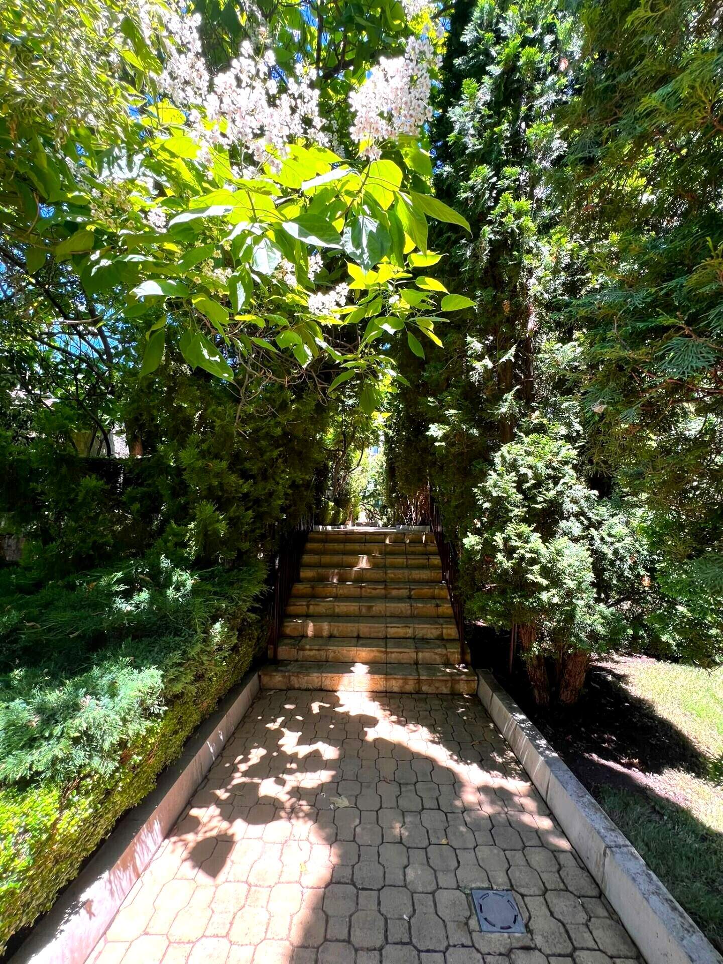 studio Квартира в Свети Влас, Бургас – фото 3