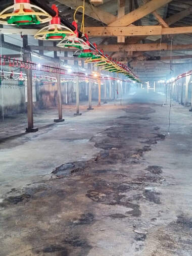 Satış - Endustriyel tesisler olarak Vabel,  Targovishte