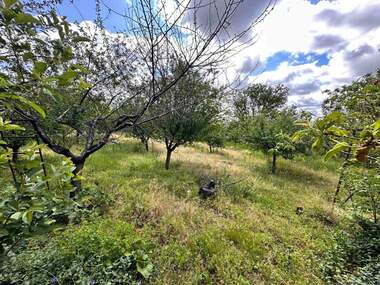 Satış - Tarım arsası olarak Izhod Ruse - Sofia,  Ruse