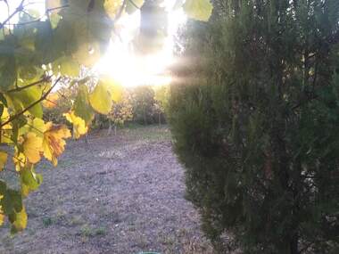 Ενοίκιο - Σπίτι σε Градец,  Видин