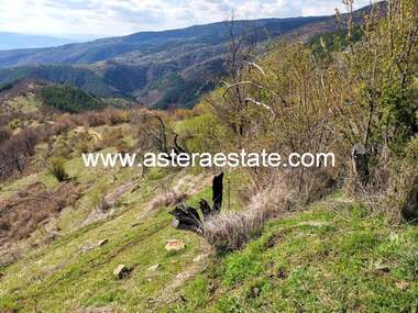 Vânzare - Teren agricol în Bistrița,  Blagoevgrad